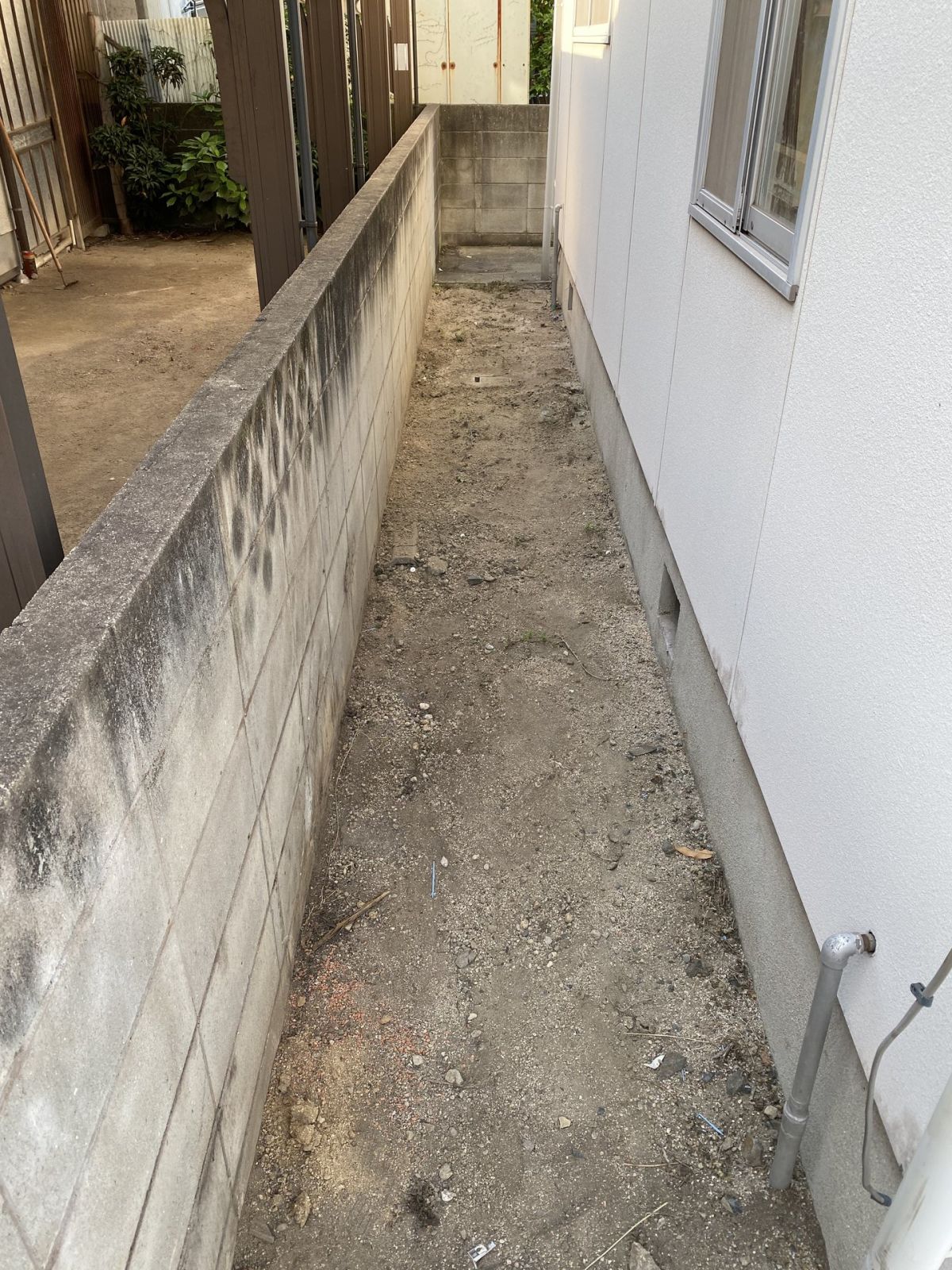 福山市 家の脇の通路の草刈り 作業後