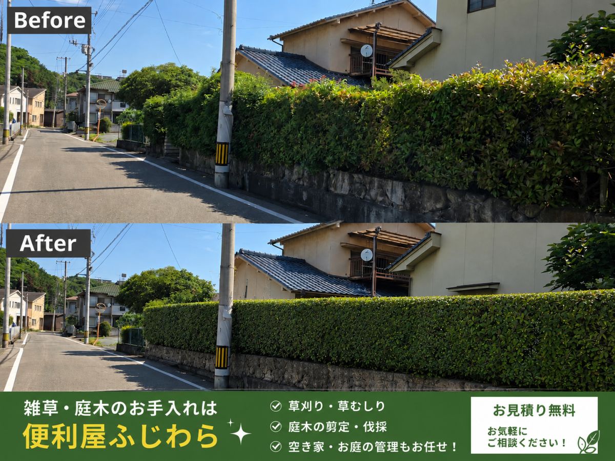 福山市手城町 生垣の剪定 作業前と作業後
