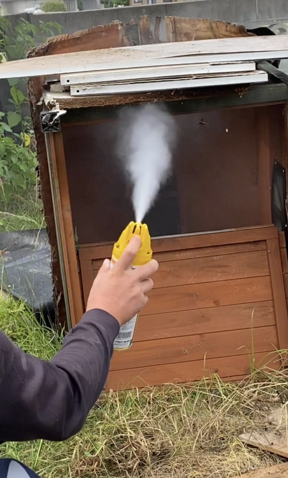 福山市 空き家の物置の害虫駆除