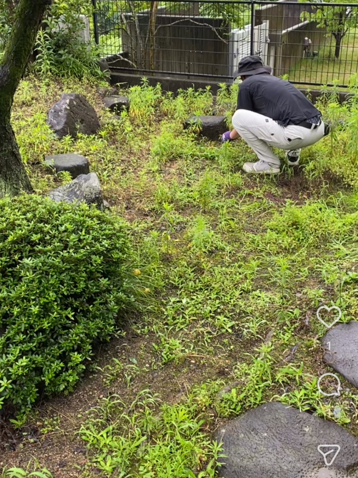 福山市明王台 庭の草むしり